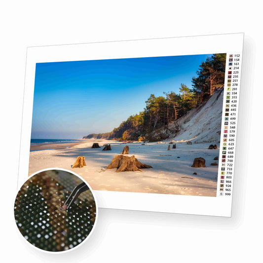 Piękna Sceneria Plaży nad Morzem Bałtyckim w Łebie