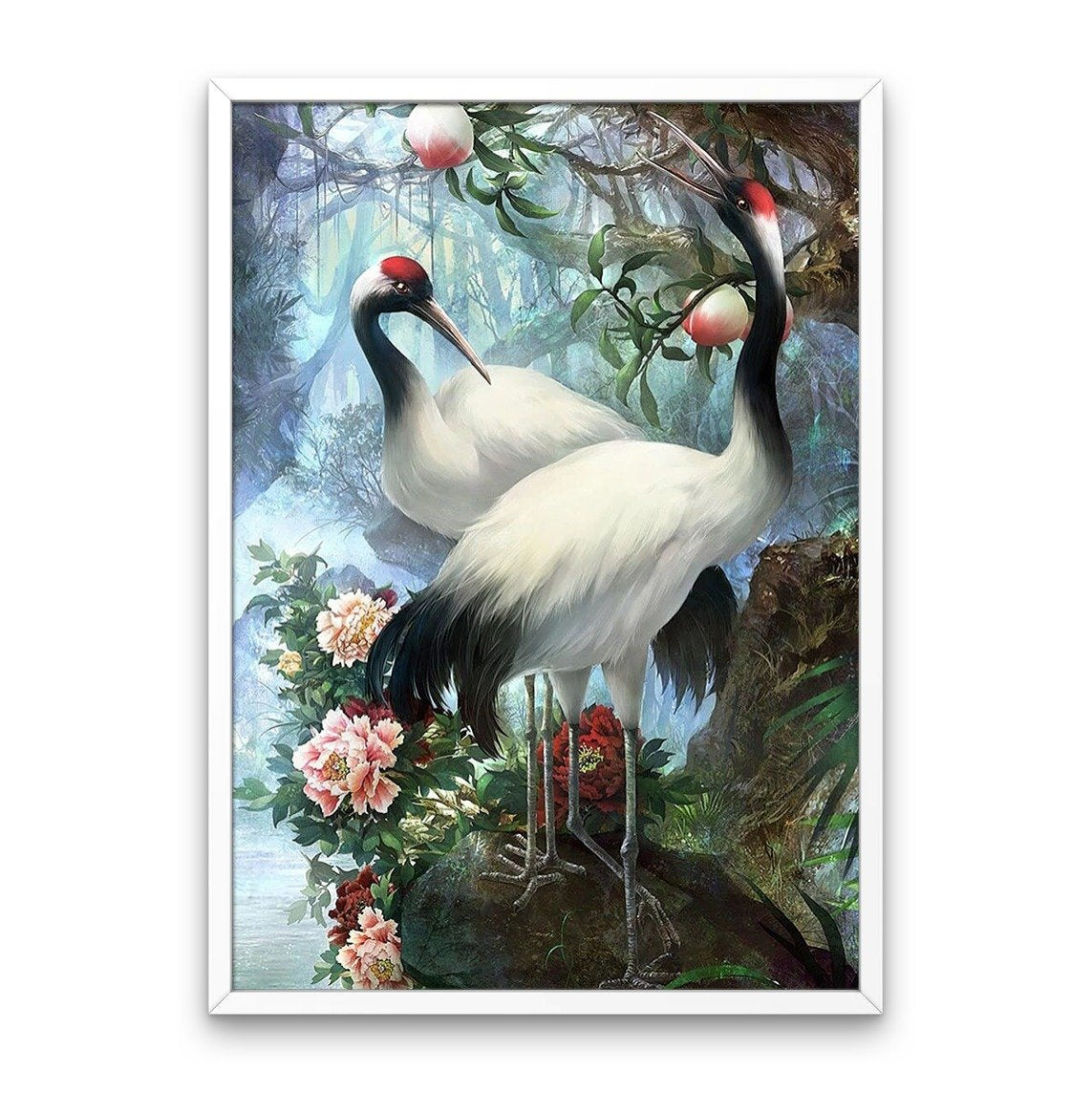 Żuraw Czerwonodzioby