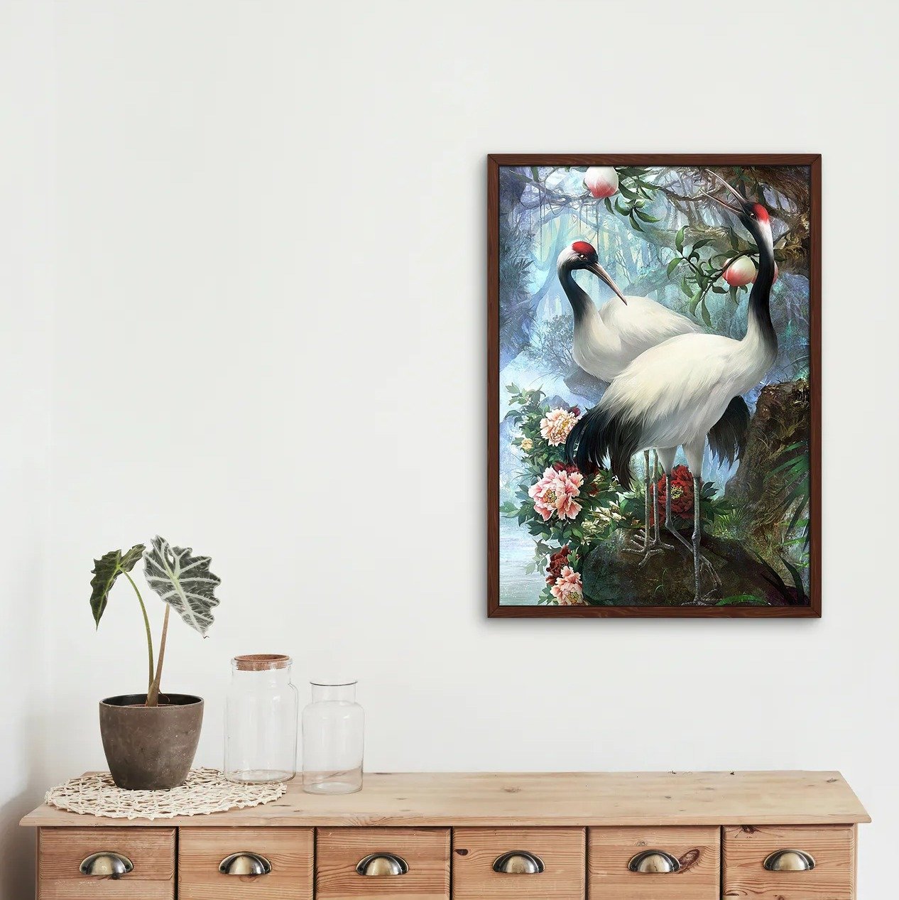 Żuraw Czerwonodzioby